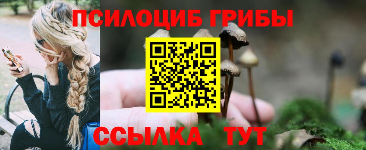 Псилоцибиновые грибы мухоморы  Вход с VPN  Галлюциногенные грибы мухоморы  Тулун 